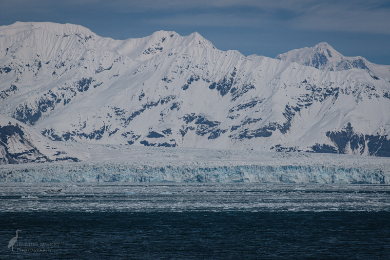 Calving Ice at Hubbard Glacier